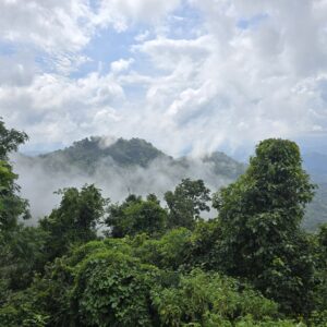 Chiang Mai / Pai Entdeckungs-Tour